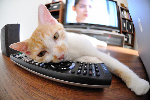 运动员康复技术最新进展，运动员康复技术最新进展情况