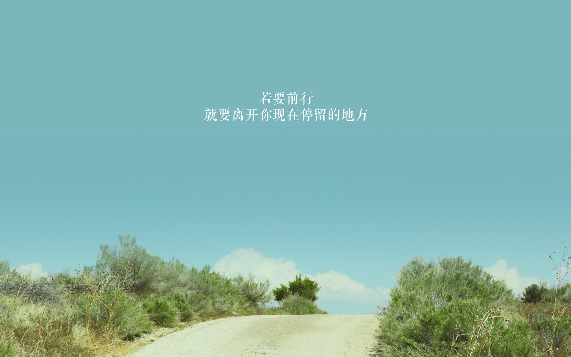 山西龙狮年轻球员经验积累稳定性显著提高，龙狮篮球俱乐部青年队名单