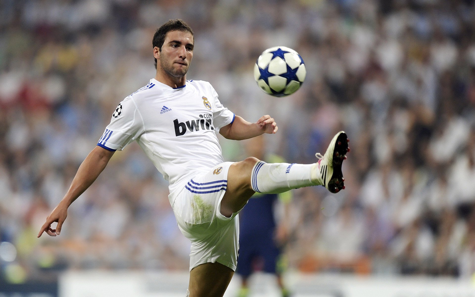 “埃尔斯·霍斯特:南非队防守的定海神针”