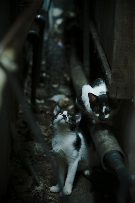 世界杯历史经典:那些让人热泪盈眶的瞬间,世界杯历史经典_那些让人热泪盈眶的瞬间是什么歌