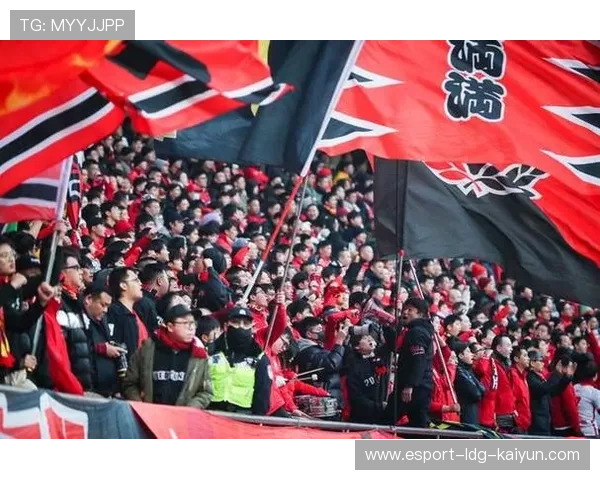 上海海港球员伤愈回归，上海海港球迷
