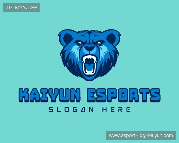 解读开云电竞入口