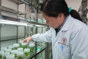 开云中国大陆-校园体育活动组织创新研究，校园体育活动组织创新研究报告