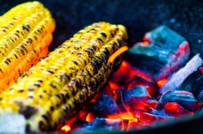 开云竞猜官网-运动饮食干预对运动表现的促进研究，举例阐述饮食运动对健康的意义