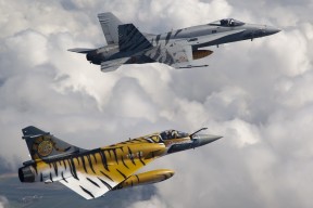 开云中国官网-北京鸭防守效率提升成为全联盟标杆，z型北京鸭