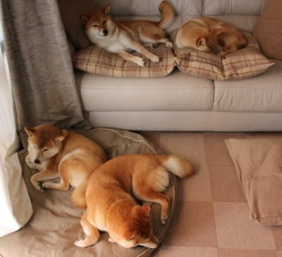 接力排兵布阵见策略，临场调整灵活，接力员是什么兵种